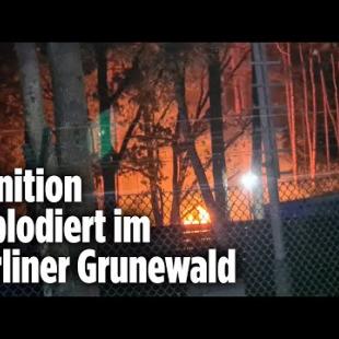 [독일 Bild紙] Explosionen im Berliner Grunewald: Großbrand auf Sprengplatz der Polizei