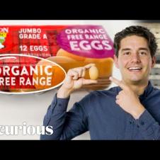 What the Labels on an Egg Carton Actually Mean, From Cage-Free to Organic | Epicurious