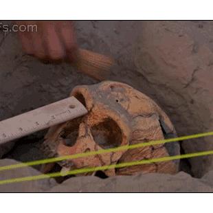 Archaeology-skull-break