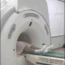 Japanese-MRI