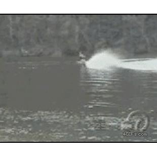 Waterski_fail