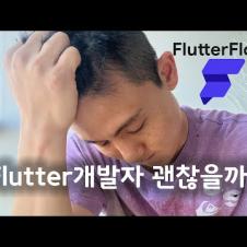 Flutter 개발자 그만 해야 하나요...??