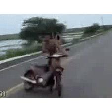 Kid-scooter-fail