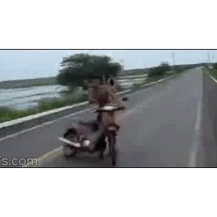 Kid-scooter-fail
