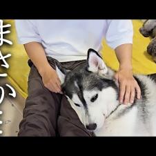 もう一度身体中を調べてみたら...