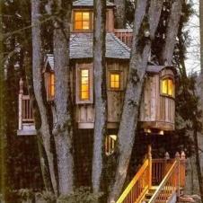나무속의 아담한 집