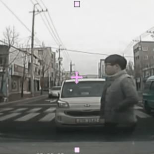 아찔한 무단횡단