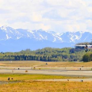 Cyber Attack Forces Airline to Cancel Flights in Alaska