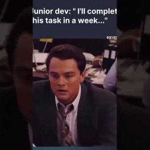 Junior VS Senior developer