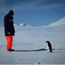 위험한 남극의 세계