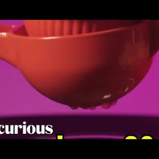 Orange Juicing with the Squid Game Cast