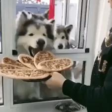 피자빵 나눠주기
