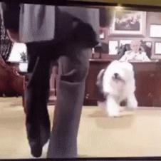 쥔장 미운데 한방에...