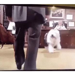 쥔장 미운데 한방에...