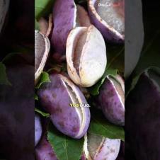 Never seen a fruit like this in my life!! 🇨🇳 Only in Kunming, China #chinesefood