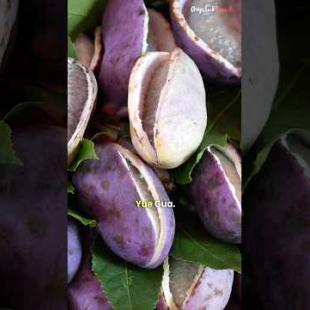 Never seen a fruit like this in my life!! 🇨🇳 Only in Kunming, China #chinesefood