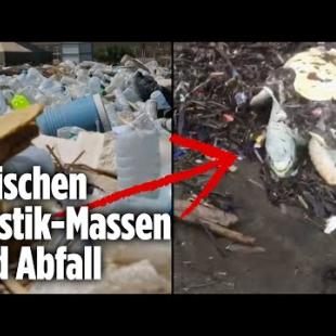 [독일 Bild紙] Schildkröte stirbt im Müll | Indonesien