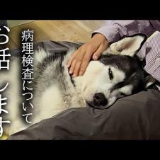 今まで応援してくださった皆様にご報告があります...