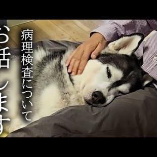 今まで応援してくださった皆様にご報告があります...