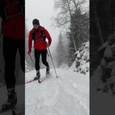 Falling in Love with Cross Country Skiing