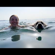Taking My Dogs for a Fun Day at the Sea 🌊🐕