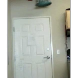 Mouse-trap-door-prank