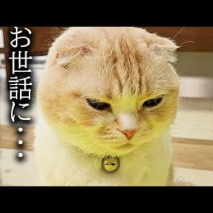 お別れすることになり寂しくてこうなりました...