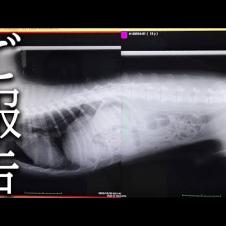 今まで応援してくださった皆様へ大切なご報告...