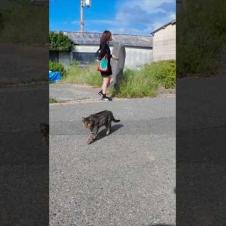 猫島で防波堤に座ると猫がトコトコ歩いてきて隣に座ってきた