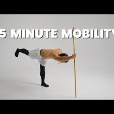 The ULTIMATE Mobility Routine To Heal Your Body