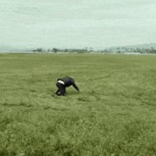 태풍 위력 체험