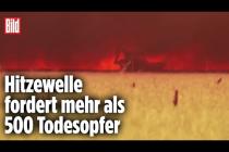 [독일 Bild紙] Baggerfahrer plötzlich von Flammen eingeschlossen | Spanien