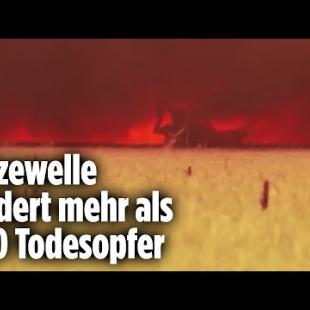 [독일 Bild紙] Baggerfahrer plötzlich von Flammen eingeschlossen | Spanien