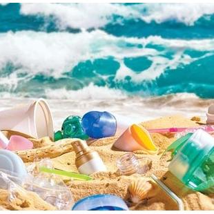 미세 플라스틱 공포에 소비자 혼란…과학적 원인 규명 시급