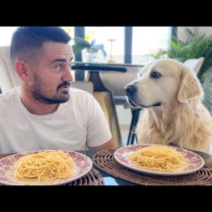 Spaghetti Eating Competition: My Golden Retriever Dog vs. Me