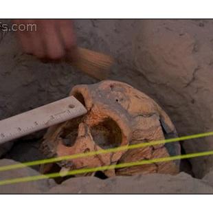 After carefully unearthing a skull fossil someone carelessly breaks it with a pick.