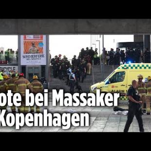 [독일 Bild紙] Schüsse in Kopenhagen: 22-Jähriger gesteht Bluttat im Einkaufzentrum