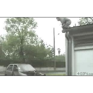 Jump-into-car-windshield