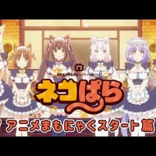 ネコぱら PV ”アニメまもにゃくスタート篇”