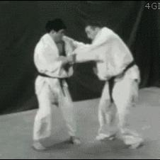 Judo-throw-reversal
