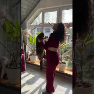 Кружим бобра #животные