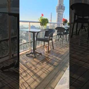 ホテルの屋上テラスでの朝食が最高過ぎた