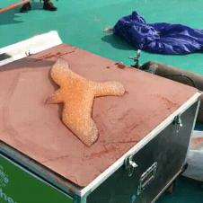 연날리기 축제에 참가한 공대생