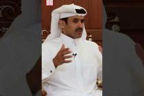 [독일 Bild紙] Habeck findet Wüsten-WM bekloppt – Katar-Minister reagiert #shorts #wm2022