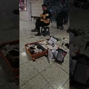 地下鉄の猫「いいベッド見つけたニャン！」