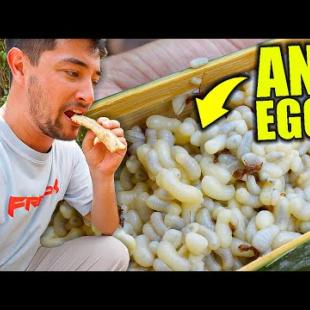 Uncovering Thailand’s EXOTIC FOOD of the Karen Tribe 🇹🇭 I Can’t Believe They Eat This!!