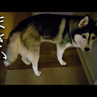 深夜にハプニングが発生しました...