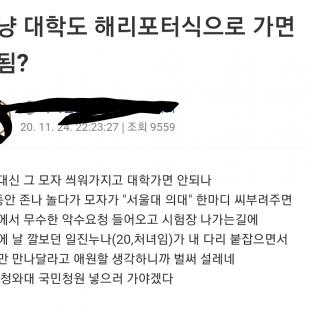 대학도 해리포터식으로 가면 안됨?