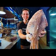 Luxury VS. Local Seafood in Qatar!! 🇶🇦