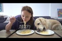 Spaghetti Eating Competition: Golden Retriever Dog vs. Owner